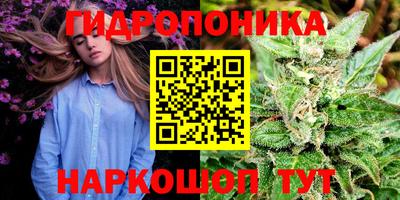 сатива Кандалакша
