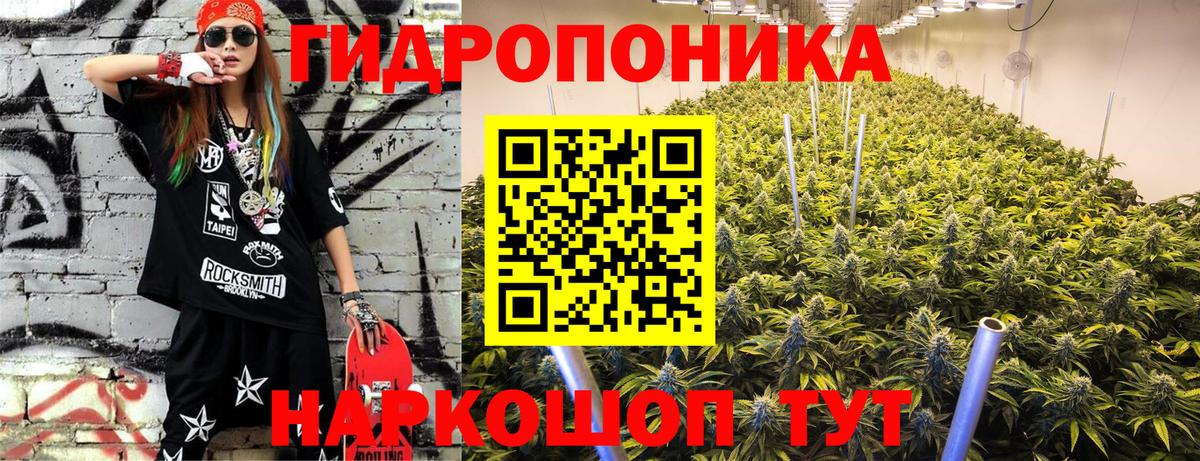 Бошки марихуана семена  Марихуана Bruce Banner  Вход с VPN  Канабис THC 21%  Майский 